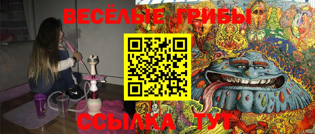 Галлюциногенные грибы Psilocybe  Псилоцибиновые грибы Psilocybe  закладка  Заречный  Вход с VPN 